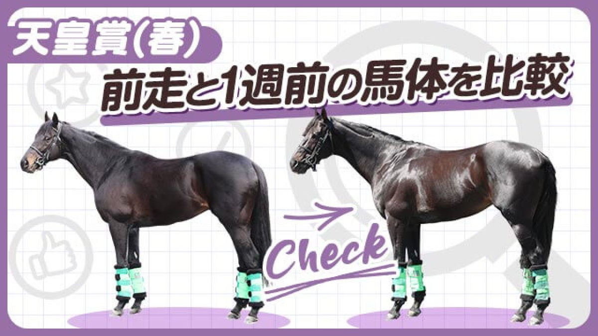 【天皇賞(春)2025】ジャスティンパレスやショウナンラプンタらの前走と1週前の馬体を比較！