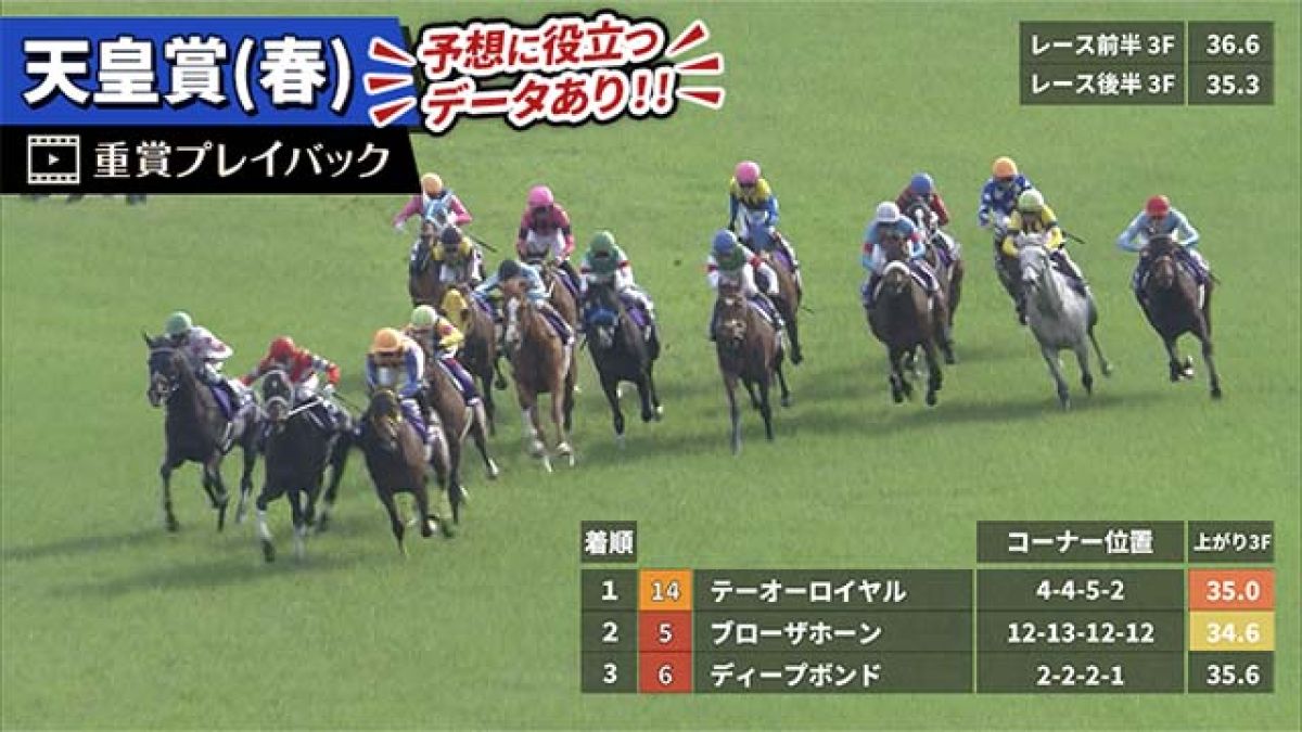 【天皇賞(春) 2025】過去5年のレース映像・傾向