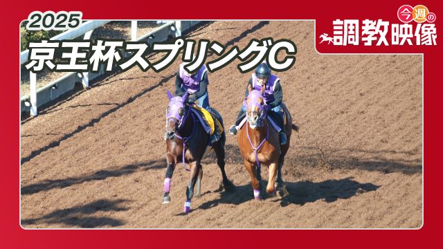 【京王杯スプリングC 2025】調教映像