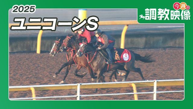 【ユニコーンS 2025】調教映像