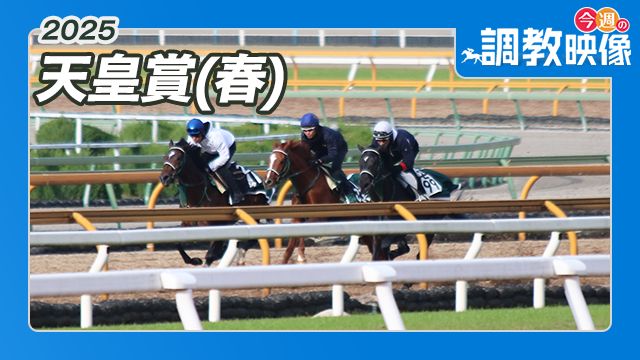 【天皇賞(春) 2025】調教映像