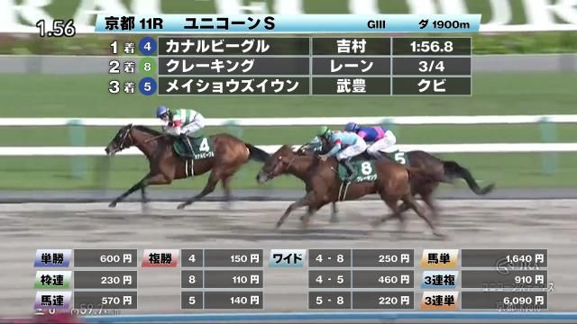【5/3 ユニコーンSほか】京都ダイジェスト/JRAレース結果