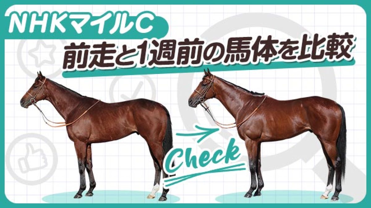 【NHKマイルC2025】マジックサンズやサトノカルナバルらの前走と1週前の馬体を比較！