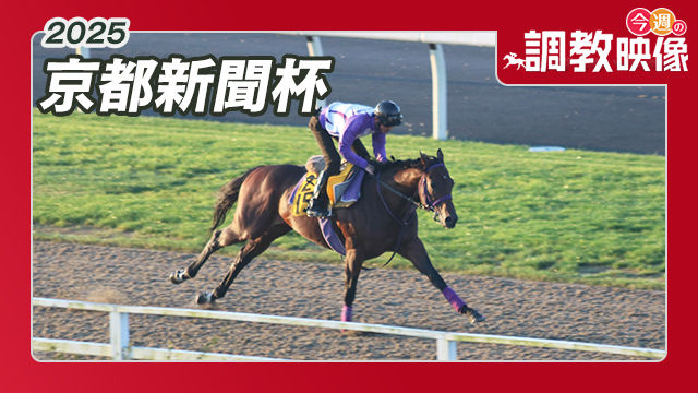 【京都新聞杯 2025】調教映像