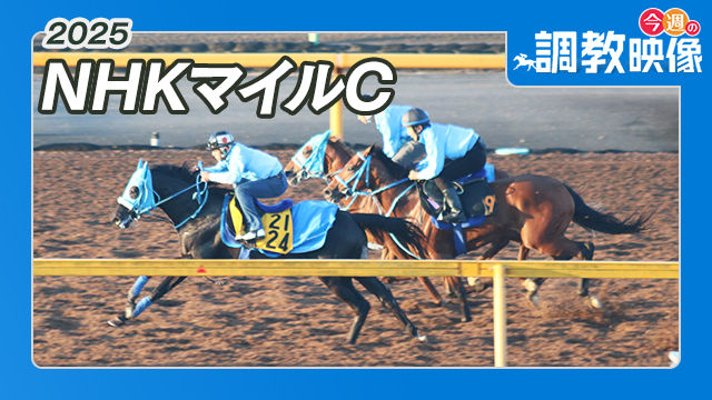 【NHKマイルC 2025】調教映像