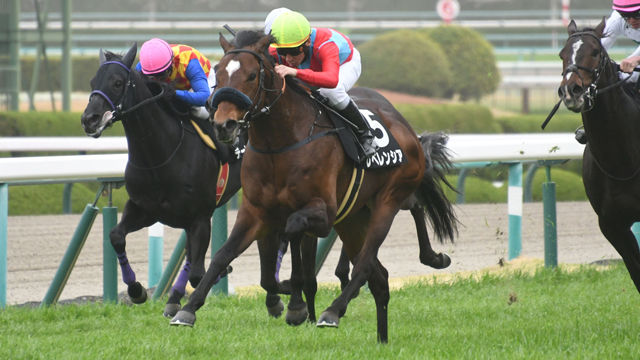 【5/10 駿風Sほか】新潟ダイジェスト/JRAレース結果