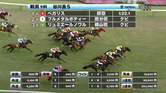 【5/11 谷川岳Sほか】新潟ダイジェスト/JRAレース結果