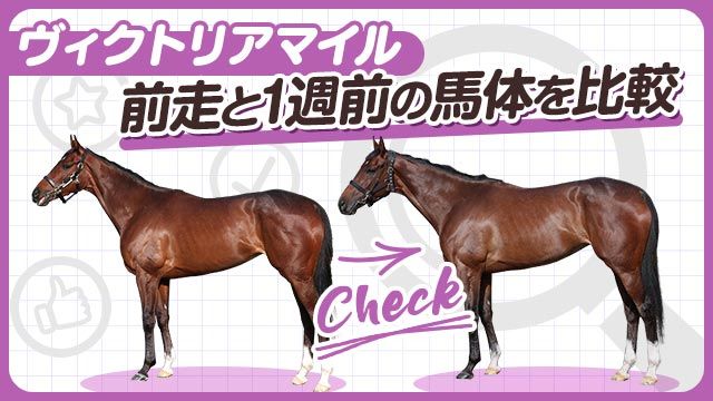 【ヴィクトリアM2025】ステレンボッシュやクイーンズウォークらの前走と1週前の馬体を比較！