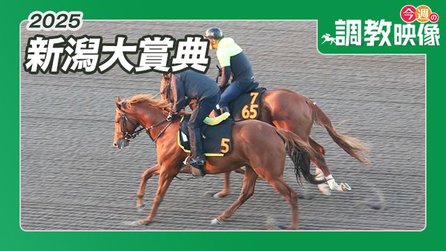 【新潟大賞典 2025】調教映像