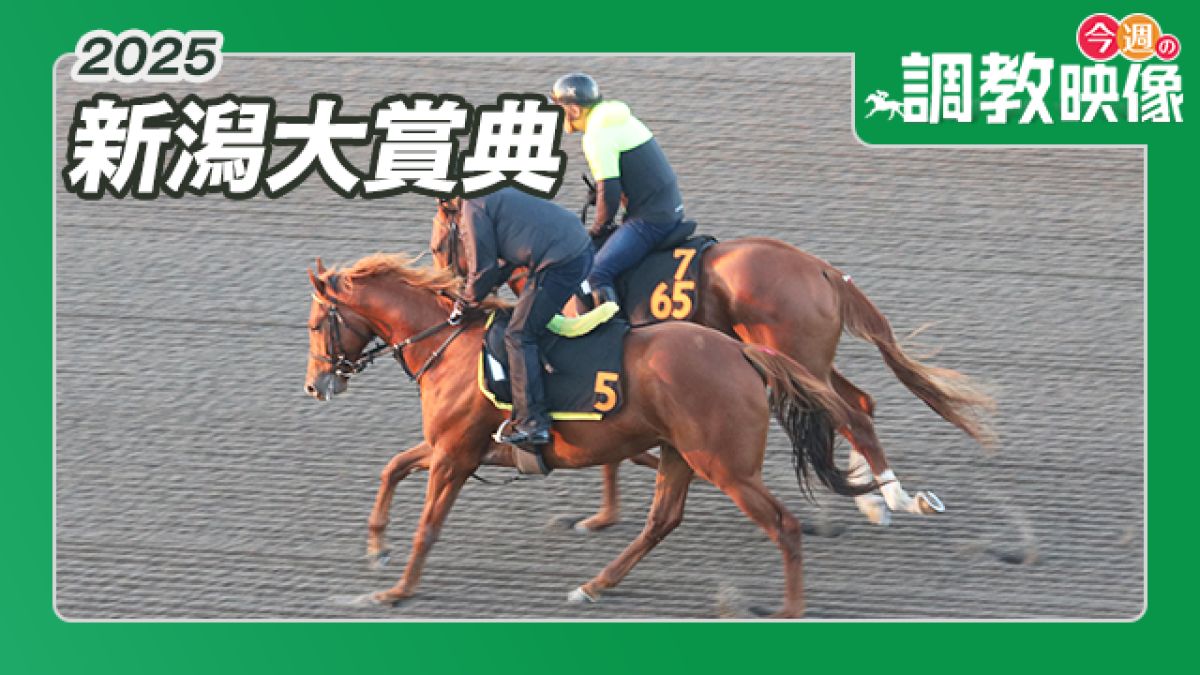 【新潟大賞典 2025】調教映像