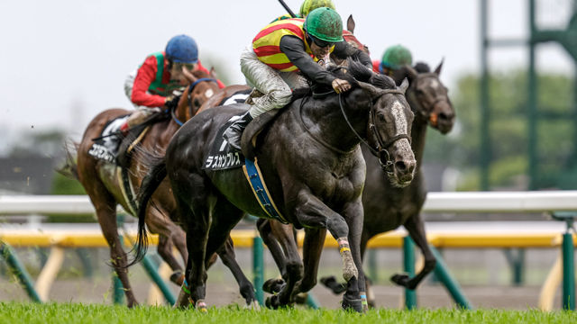 【5/17 六社S ほか】東京ダイジェスト/JRAレース結果