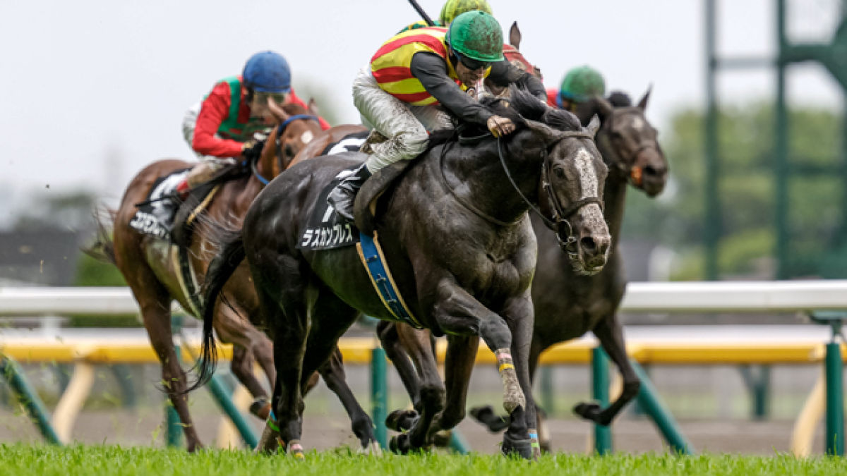 【5/17 六社S ほか】東京ダイジェスト/JRAレース結果