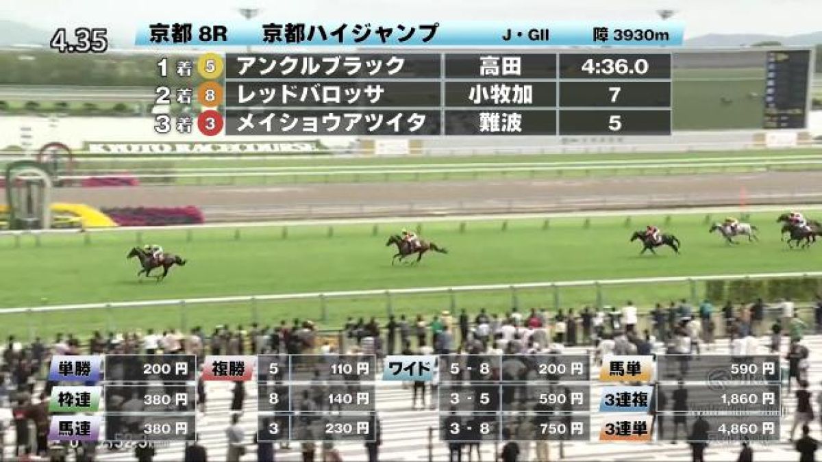 【5/17 京都ハイジャンプほか】京都ダイジェスト/JRAレース結果