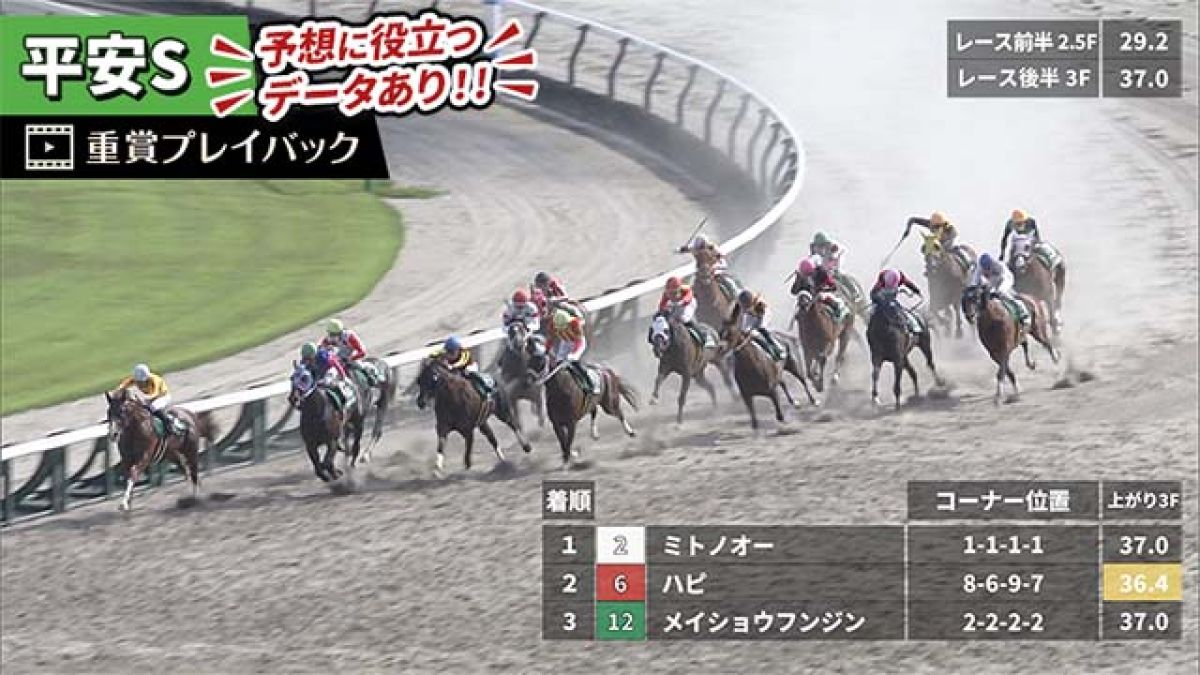 【平安S 2025】過去5年のレース映像・傾向
