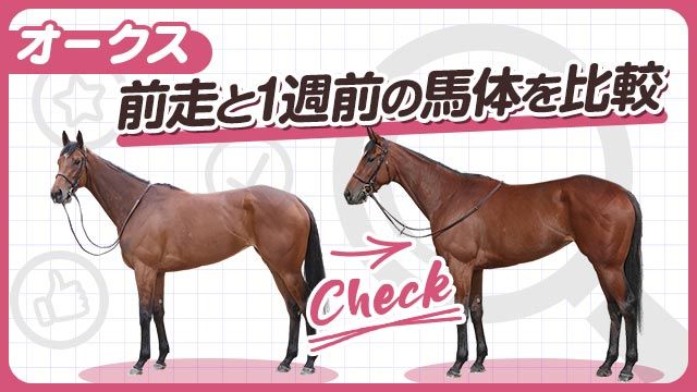 【オークス2025】エンブロイダリーやアルマヴェローチェらの前走と1週前の馬体を比較！