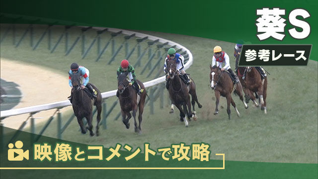 葵SGIII2025 参考レース