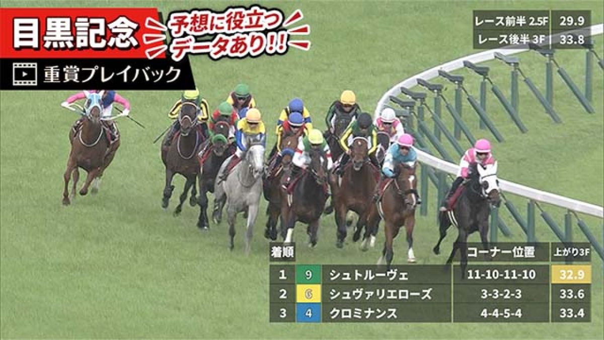 【目黒記念 2025】過去5年のレース映像・傾向