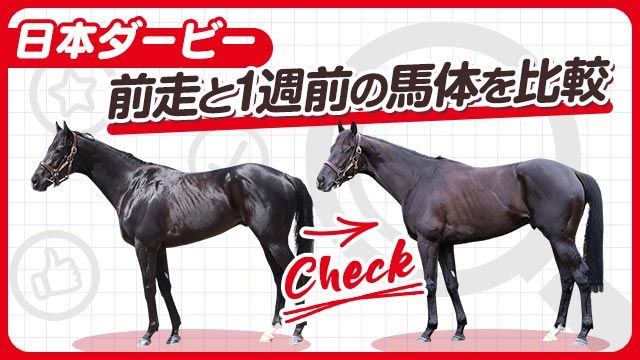 【日本ダービー2025】クロワデュノールやミュージアムマイルらの前走と1週前の馬体を比較！