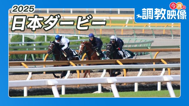 【日本ダービー 2025】調教映像