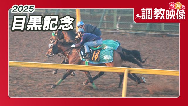【目黒記念 2025】調教映像