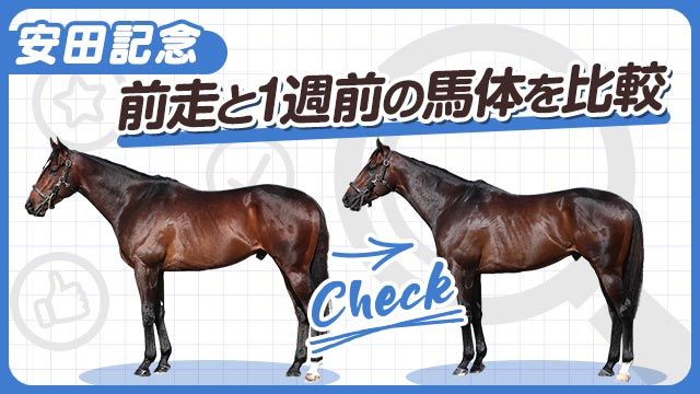 【安田記念2025】シックスペンスやウォーターリヒトらの前走と1週前の馬体を比較！
