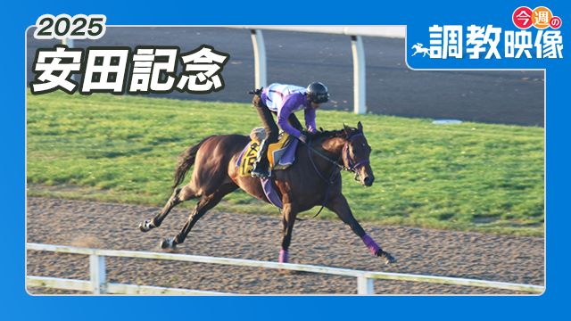 【安田記念 2025】調教映像