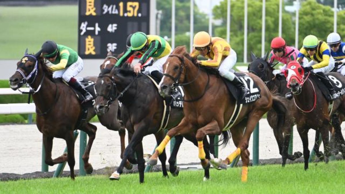 【6/7 垂水Sほか】阪神ダイジェスト/JRAレース結果
