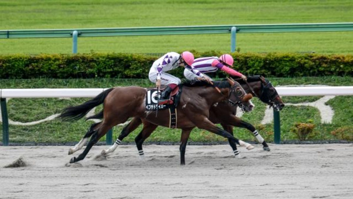 【6/7 麦秋Sほか】東京ダイジェスト/JRAレース結果