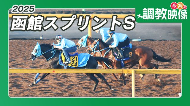 【函館スプリントS 2025】調教映像