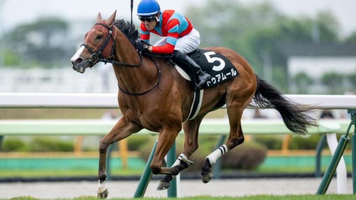 【6/15 函館日刊スポーツ杯ほか】函館ダイジェスト/JRAレース結果