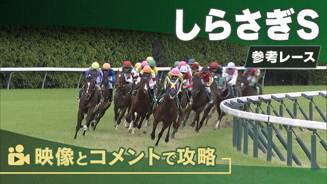 しらさぎSGIII2025 参考レース