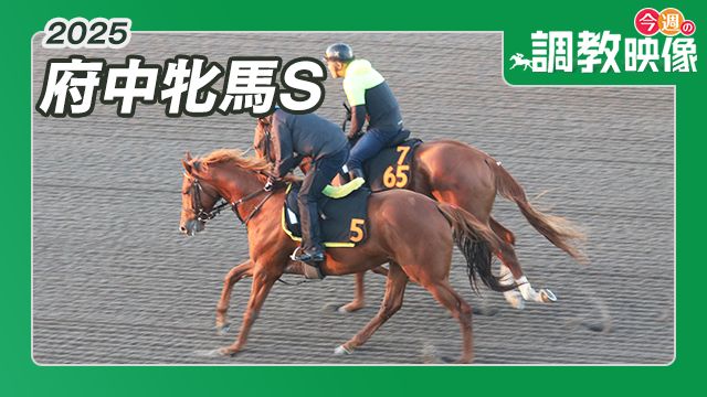 【府中牝馬S 2025】調教映像