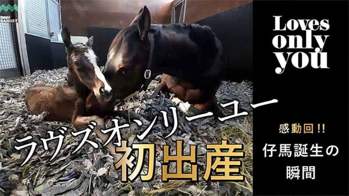 初子出産に密着！ラヴズオンリーユー出産スペシャルムービー