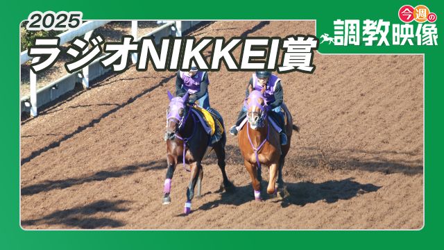 【ラジオNIKKEI賞 2025】調教映像