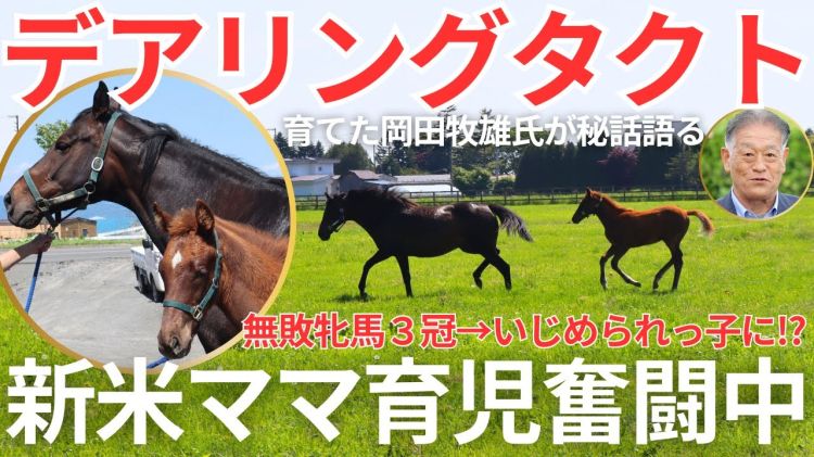 【デアリングタクト、母になった現在】初子をかわいがる姿、イクイノックスとの子も受胎中…無敗牝馬三冠秘話も