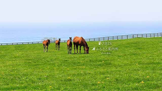  セレクトセール2025 生中継 ２日目 当歳馬