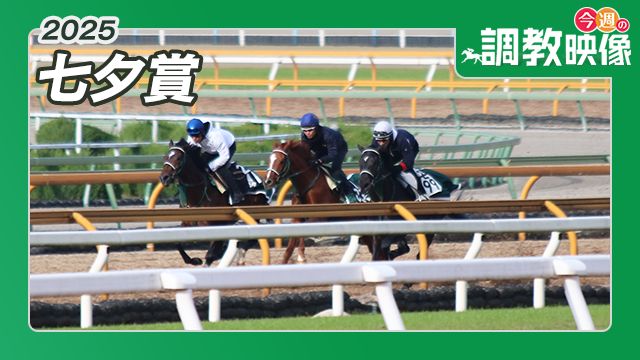 【七夕賞 2025】調教映像