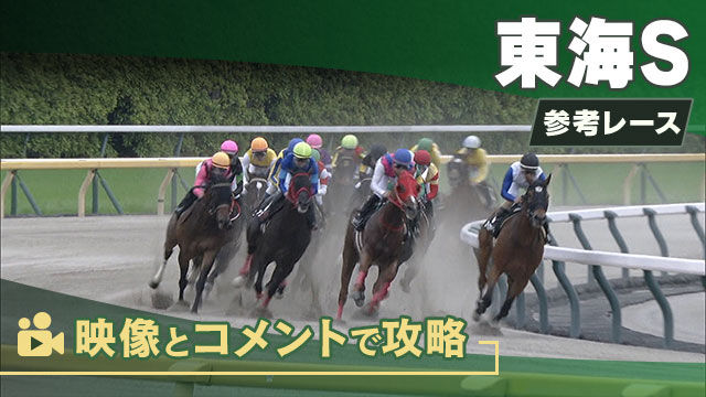 東海SGIII2025 参考レース