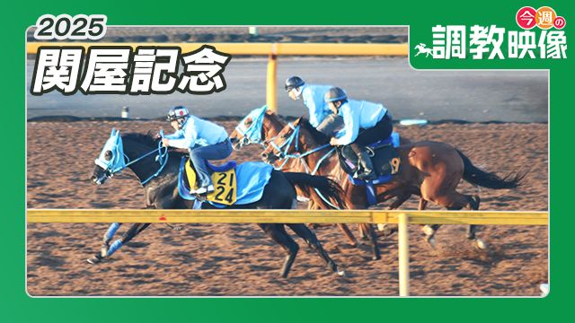 【関屋記念 2025】調教映像