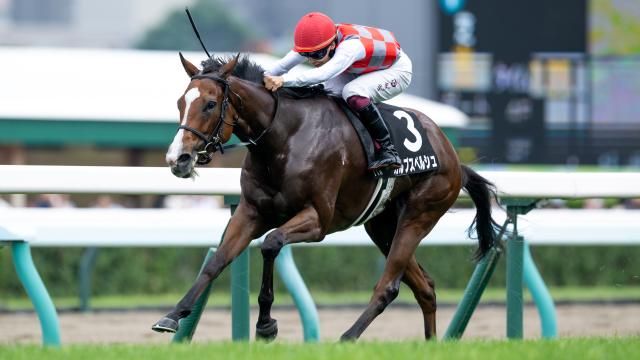 【7/26 TVh賞ほか】札幌ダイジェスト/JRAレース結果