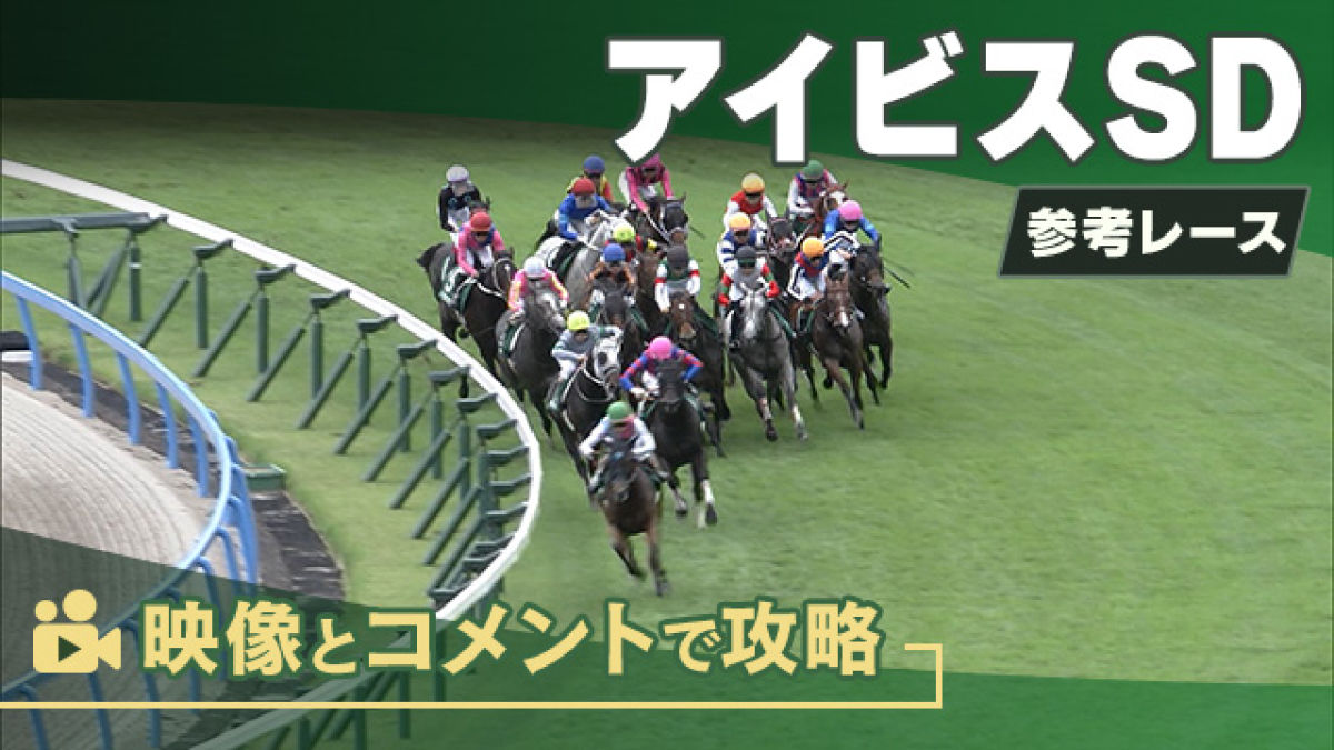 アイビスSDGIII2025 参考レース