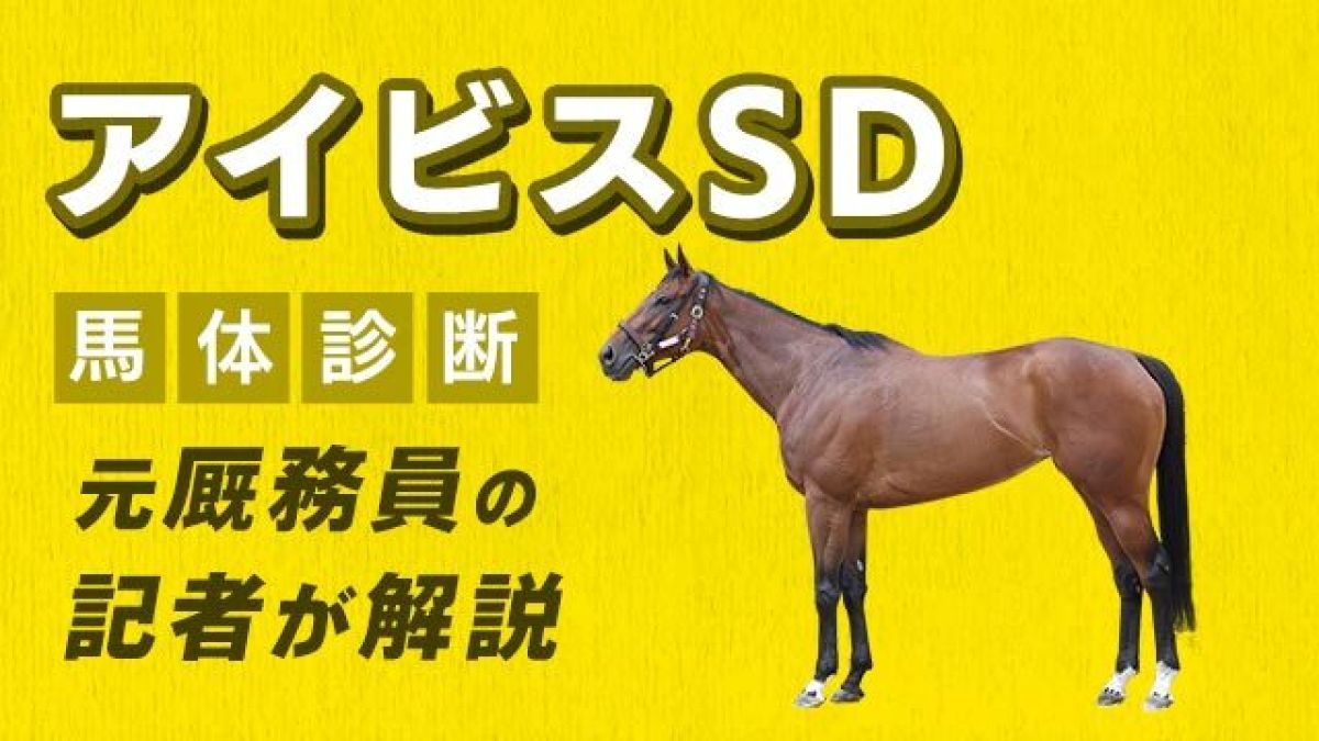 【アイビスSD 2025予想】軽量牝馬に注目！3頭をピックアップ/田井秀一