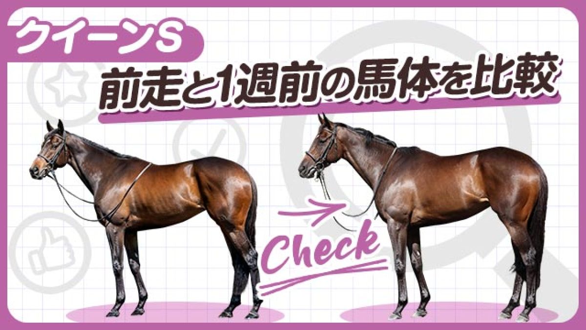 【クイーンS2025】アルジーヌやレーゼドラマらの前走と1週前の馬体を比較！