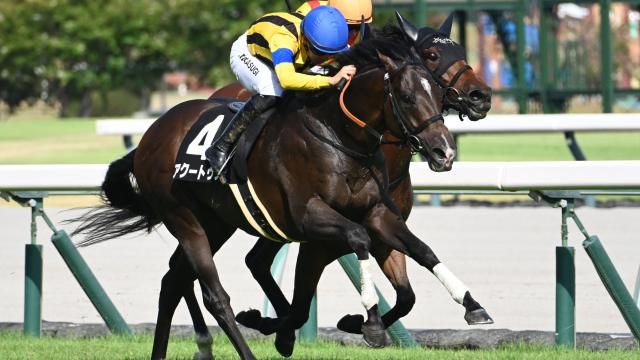 【8/2 豊明Sほか】中京ダイジェスト/JRAレース結果