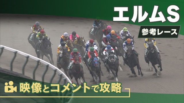 エルムSGIII2025 参考レース