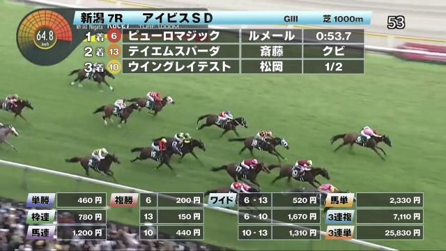 【8/3 アイビスSDほか】新潟ダイジェスト/JRAレース結果