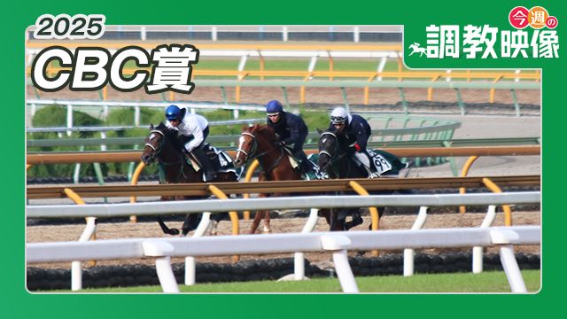 【CBC賞 2025】調教映像