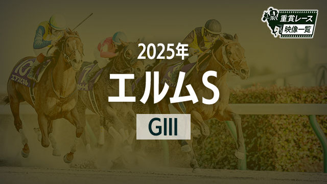 【エルムS2025 レース映像】ペリエール(佐々木大輔)/JRA 結果