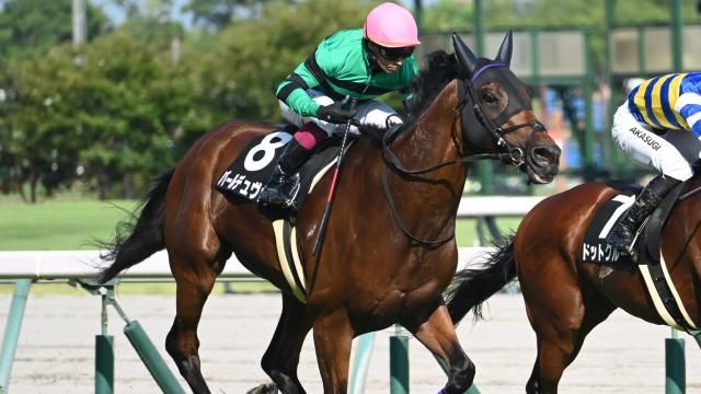 【8/16 高山Sほか】中京ダイジェスト/JRAレース結果