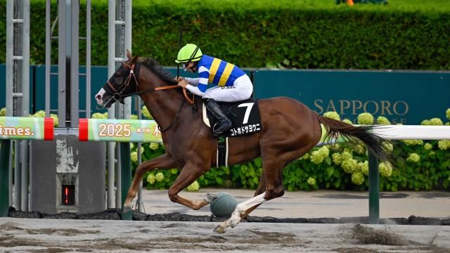 【8/16 大雪HCほか】札幌ダイジェスト/JRAレース結果